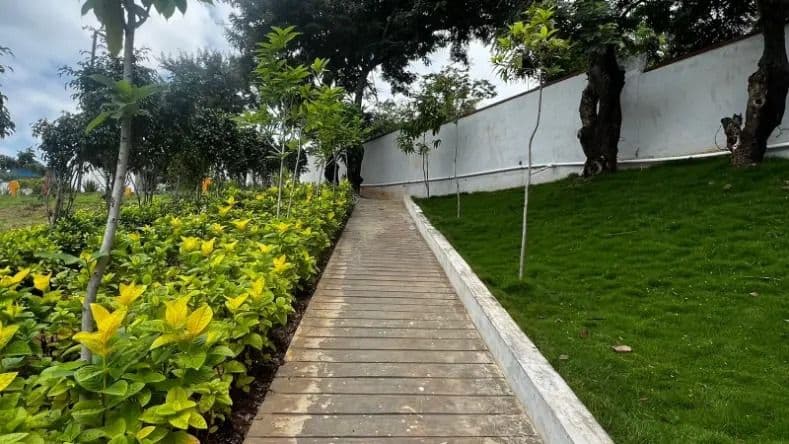 Landscaping Works project 6