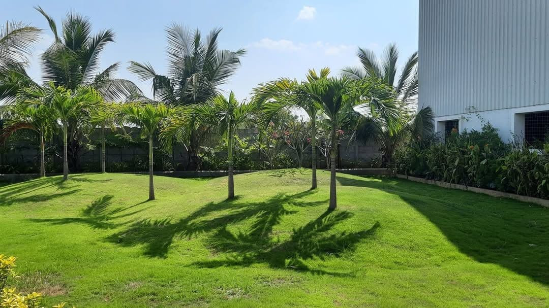 Landscaping Works project 12
